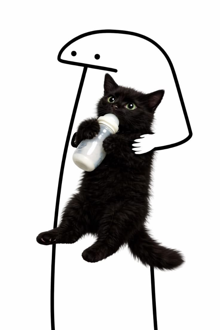 florkwifcat
