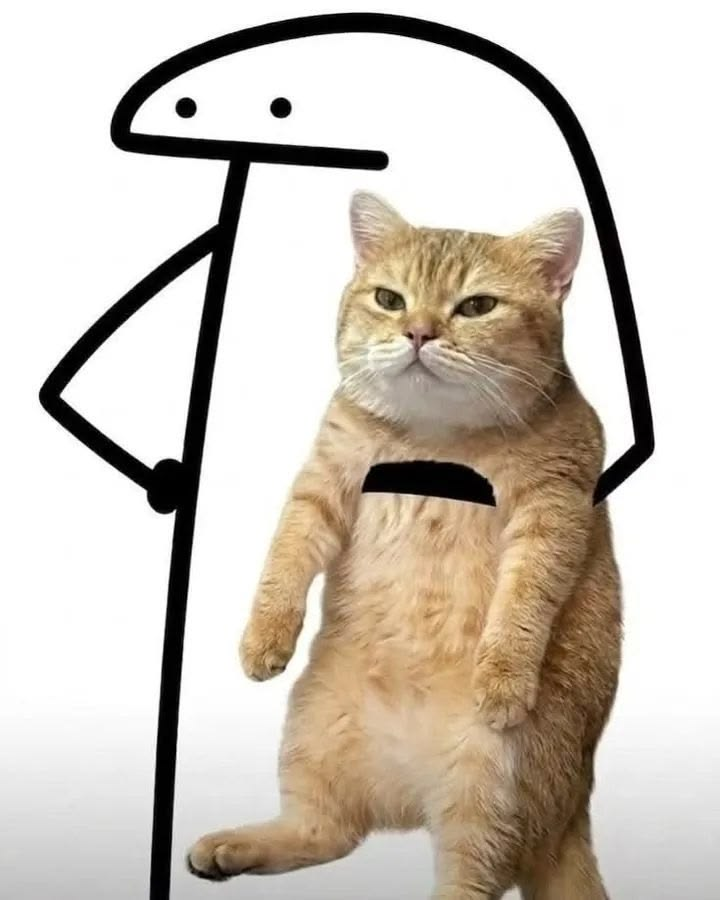 florkwifcat